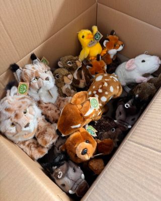 Mazlení povoleno! Na e-shop právě přilétla (a připlazila se, přiskákala, přikulhala…) nová parta – ručně šití plyšáci...